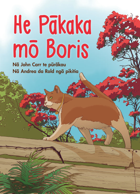 He Pākaka mō Boris - Te Reo Māori 6 copies
