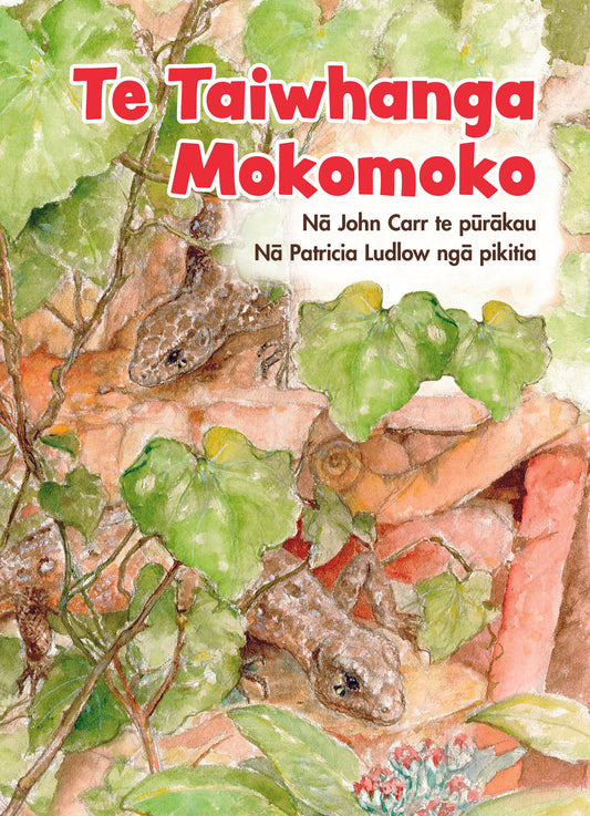 Te Taiwhanga Mokomoko - Te Reo Māori 6 copies